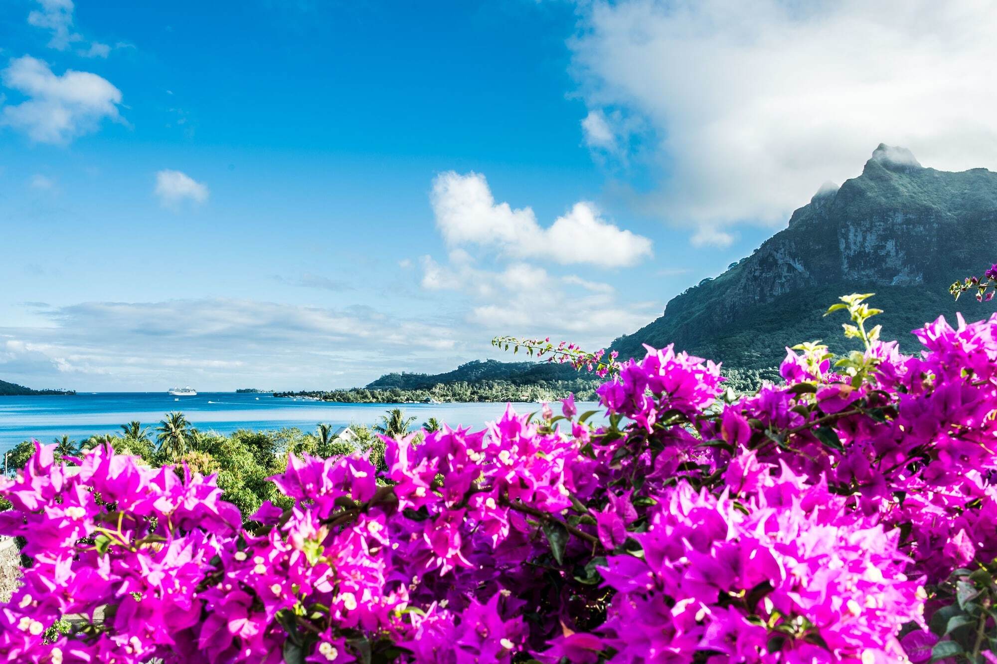 Apartment Rea Hanaa Bora Bora